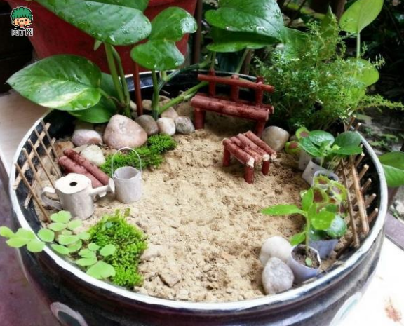 微景观制作教程 diy迷你微型花园